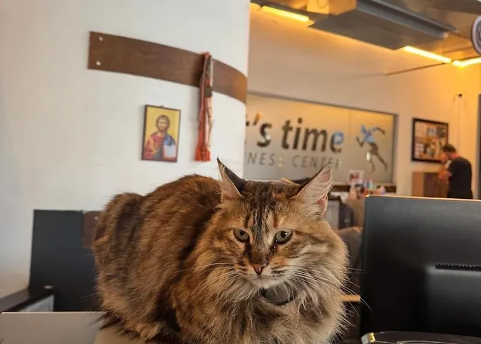 Ithaki Phinikoudes No. 107 *