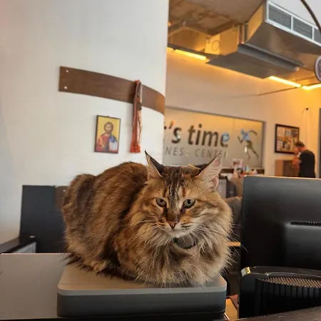 Ithaki Phinikoudes No. 107 *